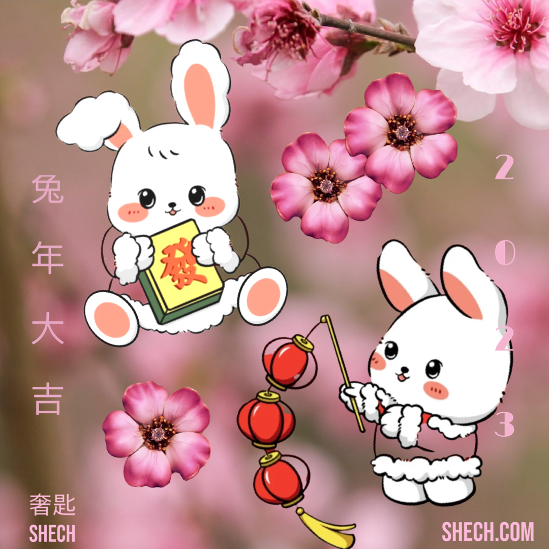 HAPPY NEW YEAR OF RABBIT