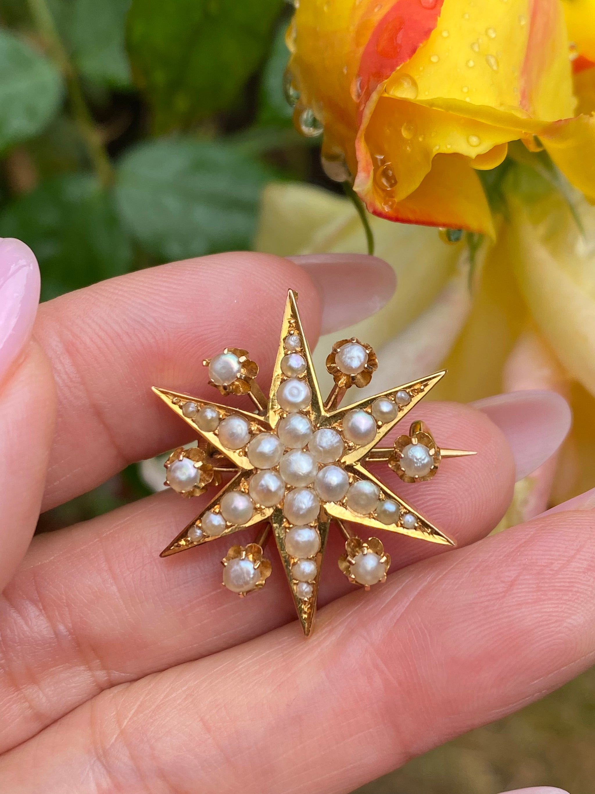 Edwardian Seed Pearl Starburst Brooch | c.1900 | 15ct Gold | Antique Pearl Star Pin