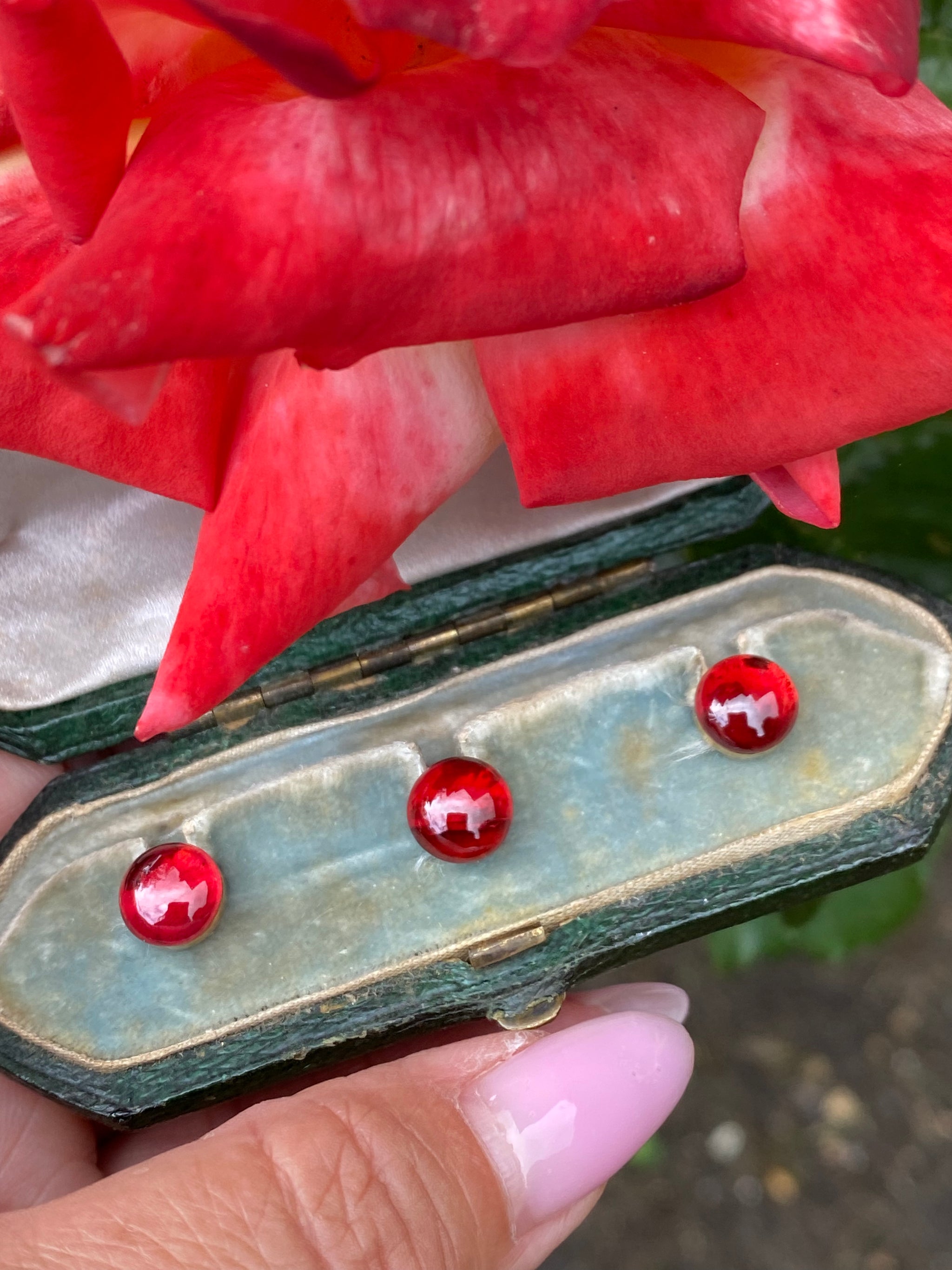Victorian Garnet Buttons Set of Three | 15ct Gold | Antique Cabochon Garnet Buttons with Original Box