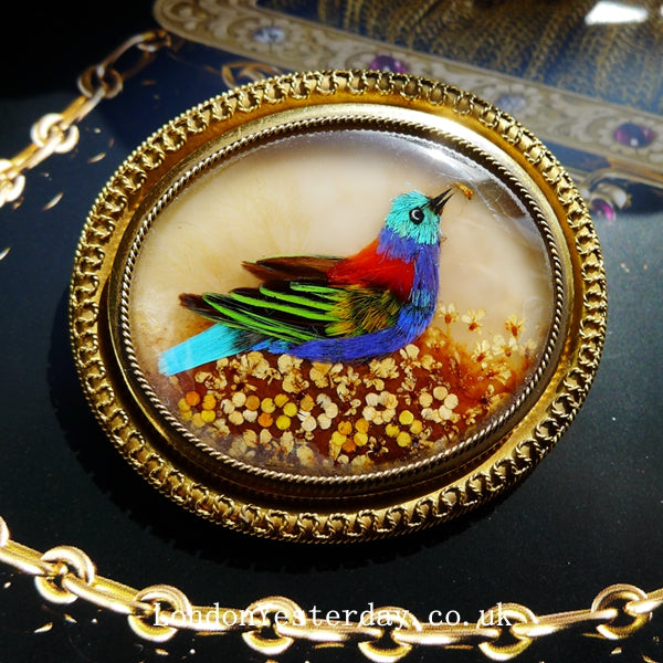 VICTORIAN 15CT GOLD NATURAL BIRD FEATHER MOTHER OF PEARL BROOCH